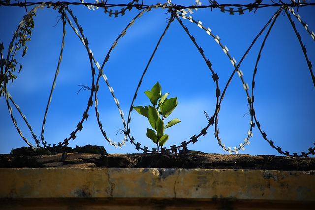 Freedom Prison image